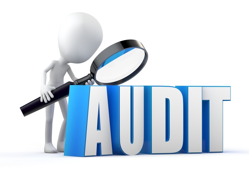 Auditing Services – Brantford & Brant County